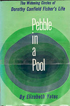 Pebble in a Pool