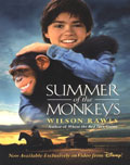 Summer of the Monkeys