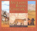 Antelope, Bison, Cougar