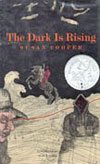 More summer reading bk_dark_100.jpg