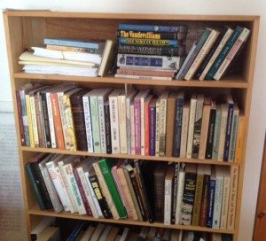 Liza's nonfiction bookshelf (Click to enlarge)
