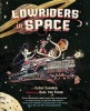 Bookstorm: <em> Lowriders in Space </em> Lowriders in Space