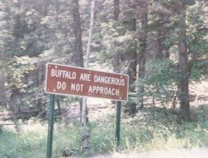 buffalo-sign