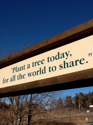 Arbor Day Farm