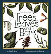 Tree, Leaves and Bark