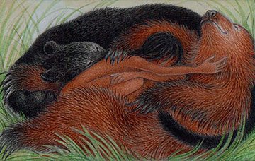 Midday Nap by Nicola Bayley