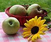 sunflower seeds and apples