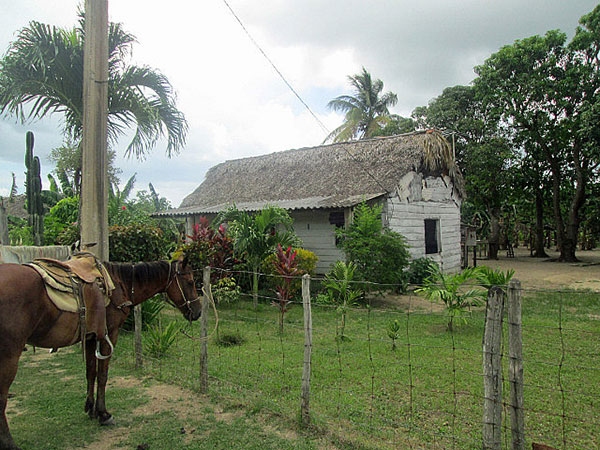 Cuban home