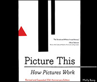 Picture This: How Pictures Work