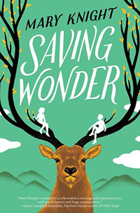 Saving Wonder