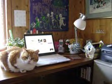 Mutzi and Lisa Bullard's desk