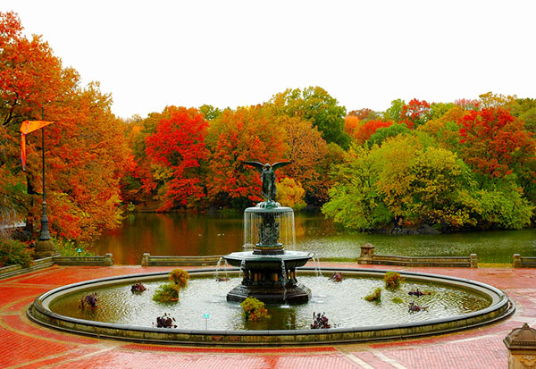 Autumn in New York, Central Park, New York Ciity