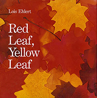 Red Leaf, Yellow Leaf