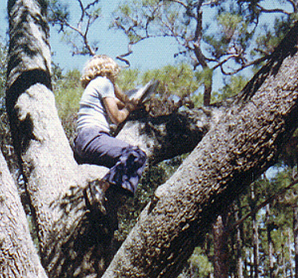 Laura Purdie Salas, reading in a tree