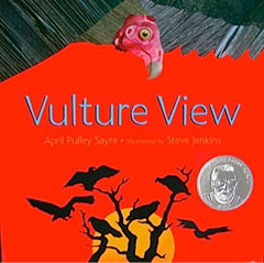 Vulture View