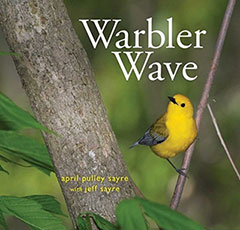 Warbler Wave