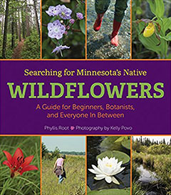 Searching for Minnesota's Native Wildflowers