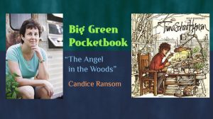 Candice Ransom The Angel in the Woods