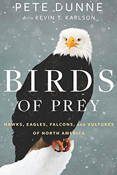 Birds of Prey