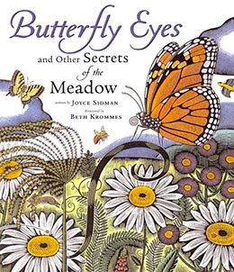 Butterfly Eyes and Other Secrets of the Meadow