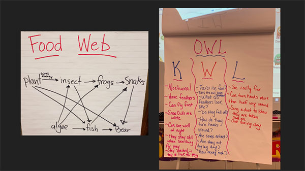 Food Web