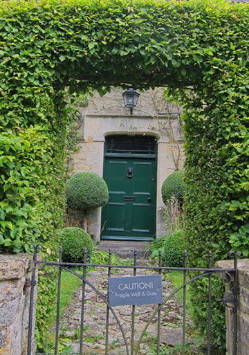 Ivy door