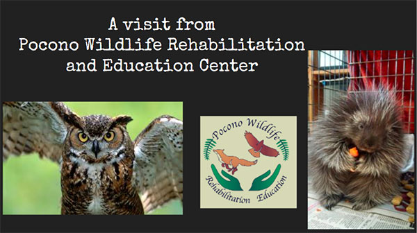 Pocono Wildlife Rehabilitation and Education Center