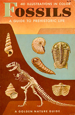 Fossils