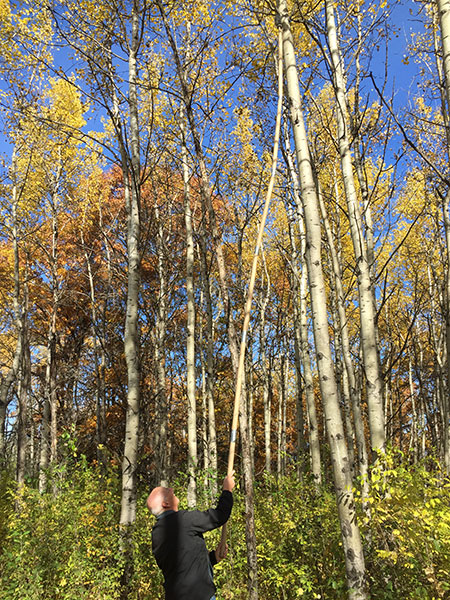 Retrieving a geocache from a tree