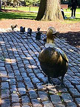 Make Way for Ducklings