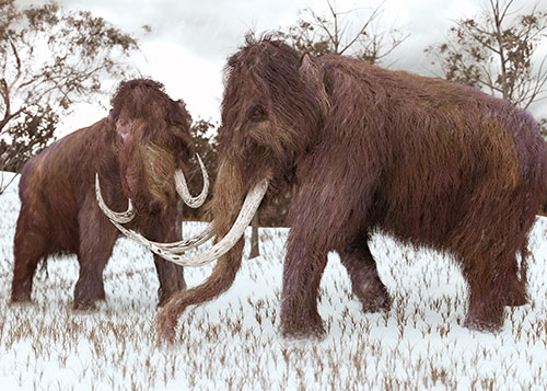 mastodons