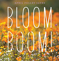 Bloom Bloom!