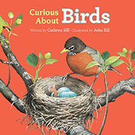 Curious About Birds