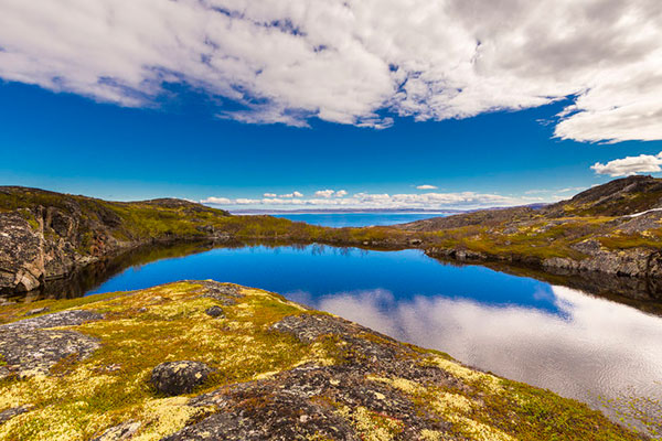 Arctic tundra summer landscape