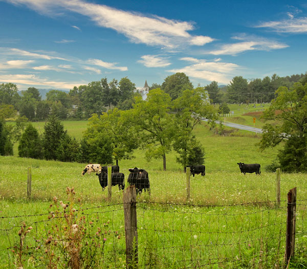 Blue Ridge Mountains