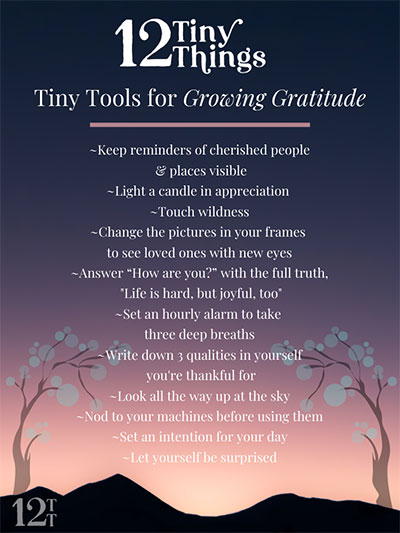 12 Tiny Things for Growing Gratitude