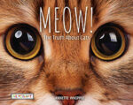 Meow The Truth about Cats