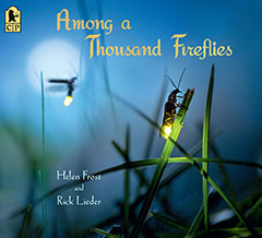 Among a Thousand Fireflies by Helen Frost and Rick Lieder