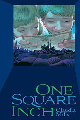One Square Inch by Claudia Mills