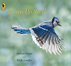Sweep Up the Sun by Helen Frost and Rick Lieder