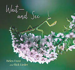 Wait and See by Helen Frost and Rick Lieder