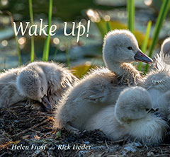 Wake Up! by Helen Frost and Rick Lieder