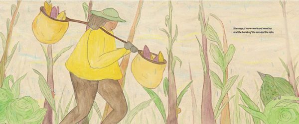 illustration from What Do You Know?