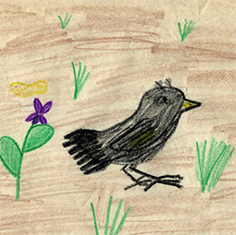 starling drawn by Candice Farris Ransom