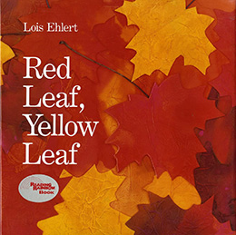 Red Leaf Yellow Leaf by Lois Ehlert