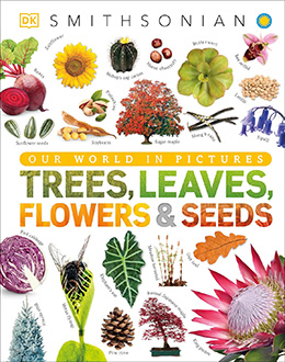 Trees Leaves Flowers and Seeds by DK Publishing and Smithsonian