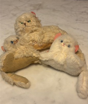 three white kitties