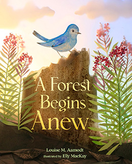 A Forest Begins Anew by Louise M. Aamodt and Elly MacKay