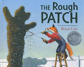The Rough Patch by Brian Lies