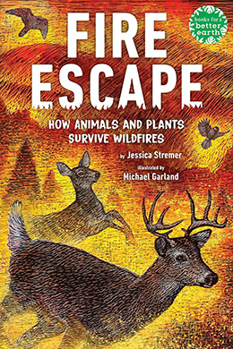 Fire Escape written by Jessica Stremer illustrated by Michael Garland